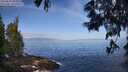 ./images/koeye/fitz-hugh/20250610/fitz-hugh20250610_084511M.jpg