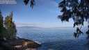 ./images/koeye/fitz-hugh/20250610/fitz-hugh20250610_085011M.jpg