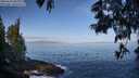 ./images/koeye/fitz-hugh/20250610/fitz-hugh20250610_085510M.jpg