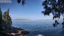 ./images/koeye/fitz-hugh/20250610/fitz-hugh20250610_090012M.jpg
