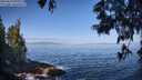 ./images/koeye/fitz-hugh/20250610/fitz-hugh20250610_090509M.jpg
