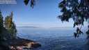 ./images/koeye/fitz-hugh/20250610/fitz-hugh20250610_091010M.jpg