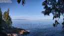 ./images/koeye/fitz-hugh/20250610/fitz-hugh20250610_091511M.jpg
