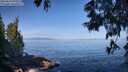 ./images/koeye/fitz-hugh/20250610/fitz-hugh20250610_092510M.jpg