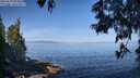 ./images/koeye/fitz-hugh/20250610/fitz-hugh20250610_093011M.jpg