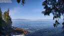 ./images/koeye/fitz-hugh/20250610/fitz-hugh20250610_094509M.jpg