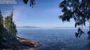 ./images/koeye/fitz-hugh/20250610/fitz-hugh20250610_095010M.jpg
