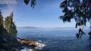 ./images/koeye/fitz-hugh/20250610/fitz-hugh20250610_095509M.jpg