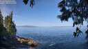 ./images/koeye/fitz-hugh/20250610/fitz-hugh20250610_100011M.jpg
