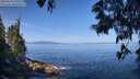 ./images/koeye/fitz-hugh/20250610/fitz-hugh20250610_100509M.jpg