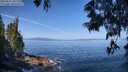 ./images/koeye/fitz-hugh/20250610/fitz-hugh20250610_101510M.jpg