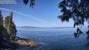 ./images/koeye/fitz-hugh/20250610/fitz-hugh20250610_102011M.jpg