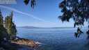 ./images/koeye/fitz-hugh/20250610/fitz-hugh20250610_102510M.jpg