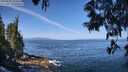 ./images/koeye/fitz-hugh/20250610/fitz-hugh20250610_103509M.jpg