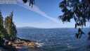 ./images/koeye/fitz-hugh/20250610/fitz-hugh20250610_105012M.jpg