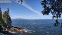./images/koeye/fitz-hugh/20250610/fitz-hugh20250610_105508M.jpg