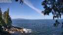 ./images/koeye/fitz-hugh/20250610/fitz-hugh20250610_110012M.jpg