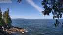 ./images/koeye/fitz-hugh/20250610/fitz-hugh20250610_110511M.jpg