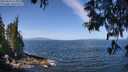 ./images/koeye/fitz-hugh/20250610/fitz-hugh20250610_111010M.jpg