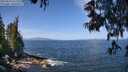 ./images/koeye/fitz-hugh/20250610/fitz-hugh20250610_111511M.jpg