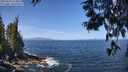 ./images/koeye/fitz-hugh/20250610/fitz-hugh20250610_113011M.jpg
