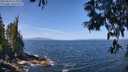 ./images/koeye/fitz-hugh/20250610/fitz-hugh20250610_113510M.jpg