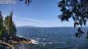 ./images/koeye/fitz-hugh/20250610/fitz-hugh20250610_114011M.jpg