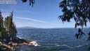 ./images/koeye/fitz-hugh/20250610/fitz-hugh20250610_114510M.jpg