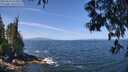 ./images/koeye/fitz-hugh/20250610/fitz-hugh20250610_115009M.jpg
