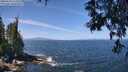 ./images/koeye/fitz-hugh/20250610/fitz-hugh20250610_115510M.jpg
