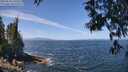 ./images/koeye/fitz-hugh/20250610/fitz-hugh20250610_120509M.jpg