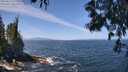 ./images/koeye/fitz-hugh/20250610/fitz-hugh20250610_121511M.jpg