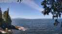 ./images/koeye/fitz-hugh/20250610/fitz-hugh20250610_123012M.jpg