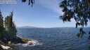 ./images/koeye/fitz-hugh/20250610/fitz-hugh20250610_123512M.jpg