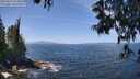 ./images/koeye/fitz-hugh/20250610/fitz-hugh20250610_124011M.jpg