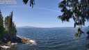 ./images/koeye/fitz-hugh/20250610/fitz-hugh20250610_124511M.jpg
