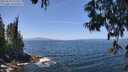 ./images/koeye/fitz-hugh/20250610/fitz-hugh20250610_125509M.jpg