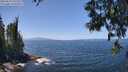 ./images/koeye/fitz-hugh/20250610/fitz-hugh20250610_131511M.jpg