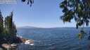 ./images/koeye/fitz-hugh/20250610/fitz-hugh20250610_132509M.jpg