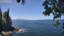./images/koeye/fitz-hugh/20250610/fitz-hugh20250610_133011M.jpg