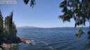 ./images/koeye/fitz-hugh/20250610/fitz-hugh20250610_133509M.jpg