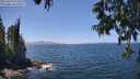 ./images/koeye/fitz-hugh/20250610/fitz-hugh20250610_134011M.jpg