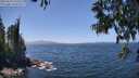 ./images/koeye/fitz-hugh/20250610/fitz-hugh20250610_134511M.jpg