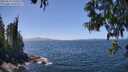 ./images/koeye/fitz-hugh/20250610/fitz-hugh20250610_135012M.jpg