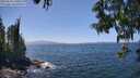 ./images/koeye/fitz-hugh/20250610/fitz-hugh20250610_140012M.jpg