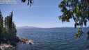 ./images/koeye/fitz-hugh/20250610/fitz-hugh20250610_140510M.jpg
