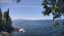 ./images/koeye/fitz-hugh/20250610/fitz-hugh20250610_142010M.jpg