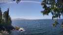./images/koeye/fitz-hugh/20250610/fitz-hugh20250610_142510M.jpg