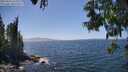 ./images/koeye/fitz-hugh/20250610/fitz-hugh20250610_143510M.jpg