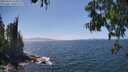 ./images/koeye/fitz-hugh/20250610/fitz-hugh20250610_144011M.jpg